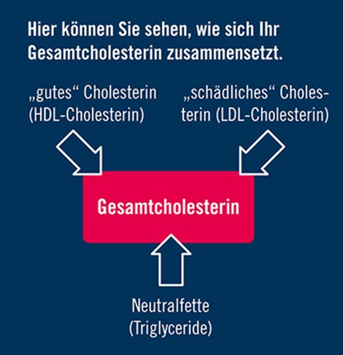 Infografik: Zusammensetzung des Gesamtcholesterins aus LDL-, HDL-Cholesterin und Neutralfetten
